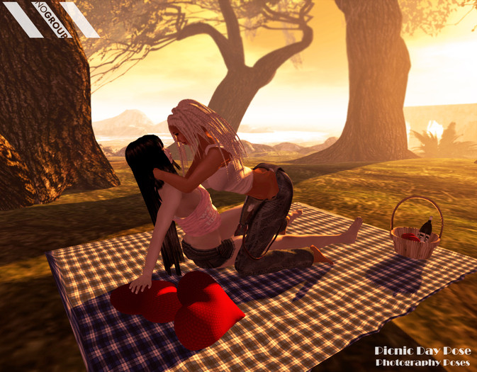 Picnic Day Pose Bag