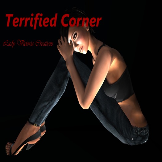 Terrified Corner Pose boxed