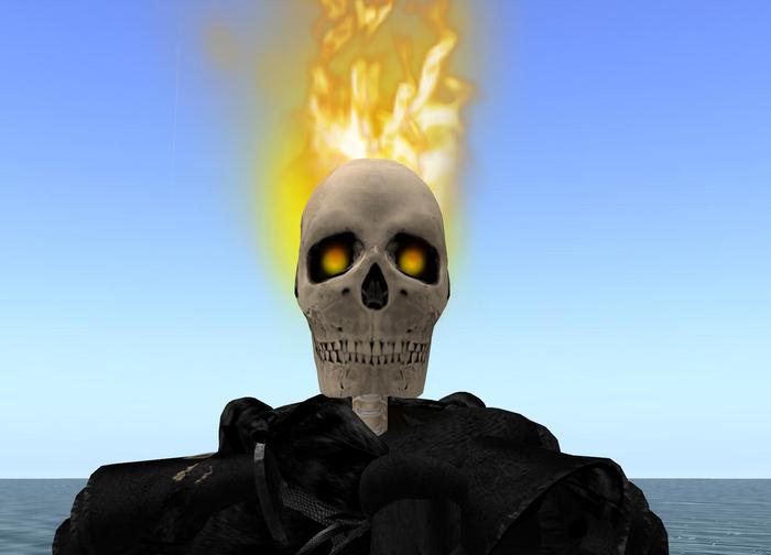 FAUX REAL Flaming Skull Halloween Costume