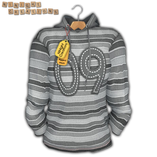NN Mesh Men's Long Sleeve Hooded T-shirt 11