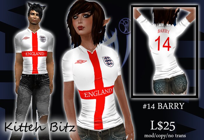 ::Kitteh Bitz:: England 2010 Shirt (#14 BARRY)