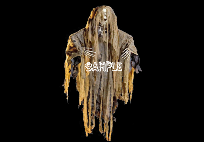 Skeleton Ghoul (Flexi)