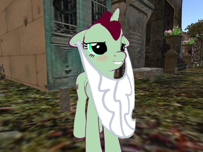 Starswirl's Dollar-Beard!