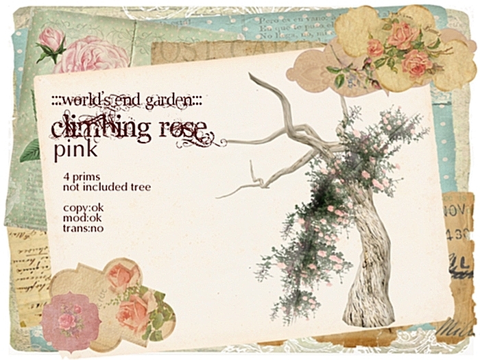 :::WEG::: Climbing Rose Pink
