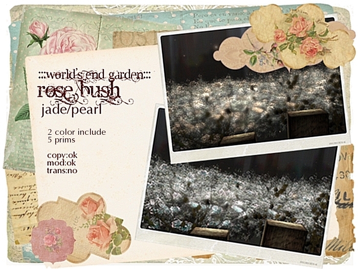 :::WEG::: Rose bush Jade/Pearl