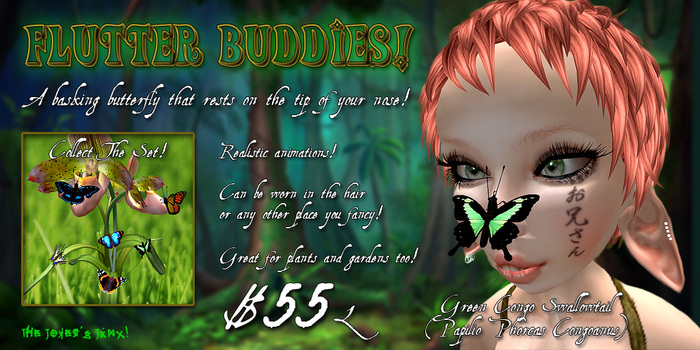 Flutter Buddies - Green Congo Swallowtail