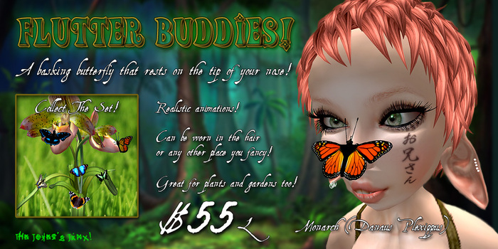 Flutter Buddies - Monarch