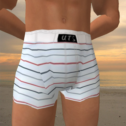 UTS Boxers White Striped