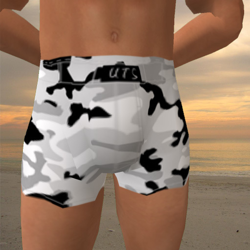 UTS Boxers Arctic Camo