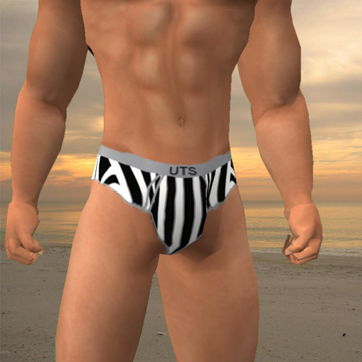 UTS Zebra Briefs