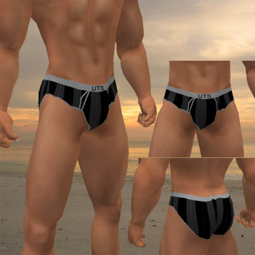 UTS Black Stripe Briefs