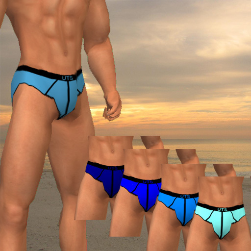 UTS Essential Briefs Pack - Blue