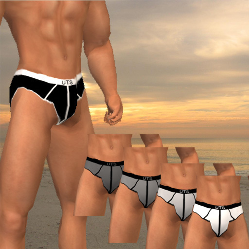 UTS Essential Briefs Pack - Monochrome
