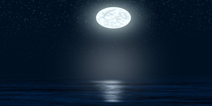 Moon  full perms back drop sim texture 2