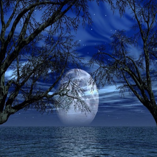 Moon full perms back drop sim texture 5