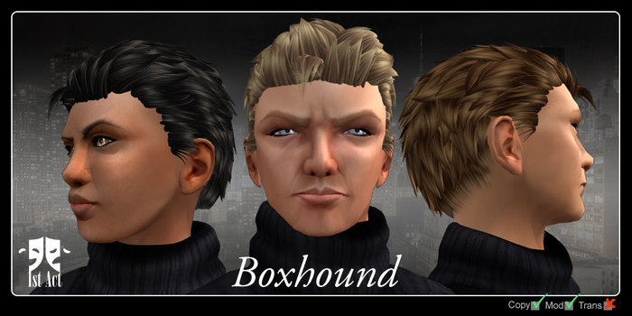 [1A]Hair - Boxhound - Brunette