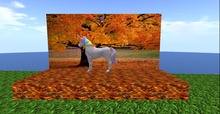 Autumn Tree Horse/Breedable Display Set (boxed)