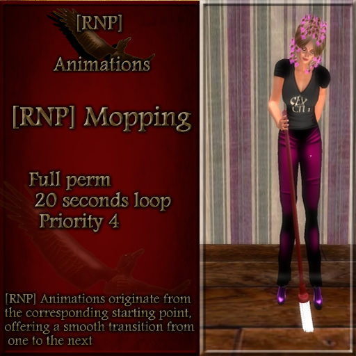 [RNP] Mopping_Full Perm Household Animation