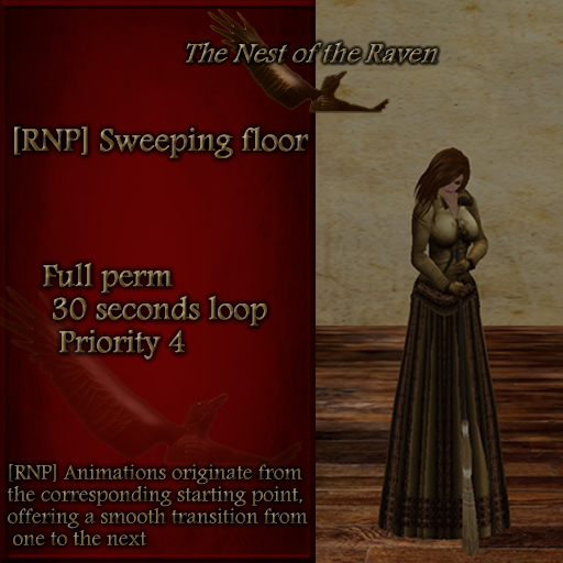 [RNP] Sweeping floor - Full Perm Household Animation