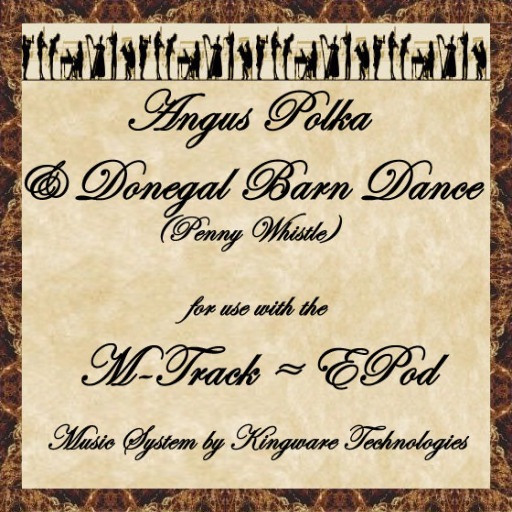 The Arcadian Minstrel: [M-TRACK] Angus Polka & Donegal Barn Dance (Penny Whistle)