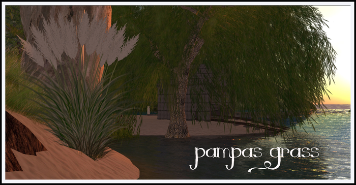 Pampas Grass COPY MOD