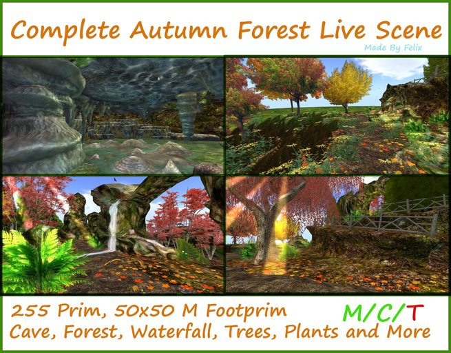 Complete Autumn Forest Scene Cave ( Herbst Outono Automne )