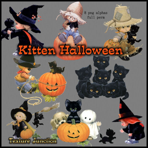 ~TJ~  Kitten Halloween Textures