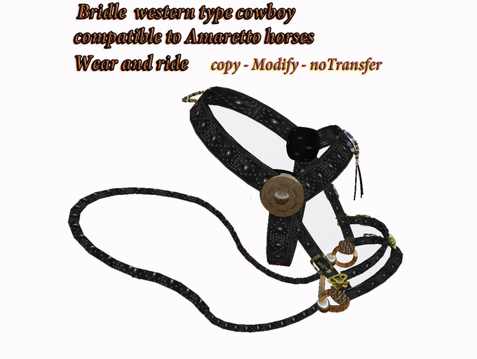 Bridle Western**Ald ride**[Boxed]