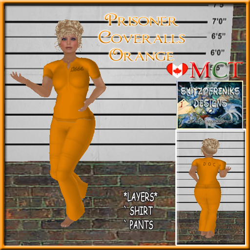 !SD! Prisoners Coveralls Womens - Orange