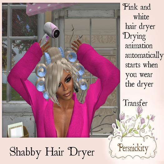 Shabby Hair Dryer with Animation