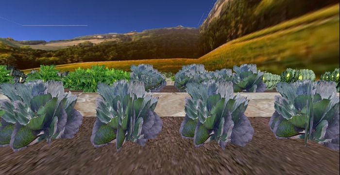 Row of Red Cabbages, 1 prim = 4 plants- Ultra Light, Prim .5LI, 2 linked = 1 prim, Copy/ Mod