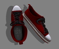 Red / Black Canvas Sneakers Warn Look