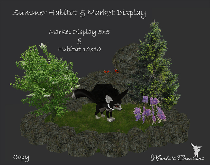 NEW! Summer Habitat & Market Display