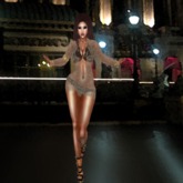 Gold Laced Fit