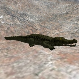 Animania Alligator (Dark)
