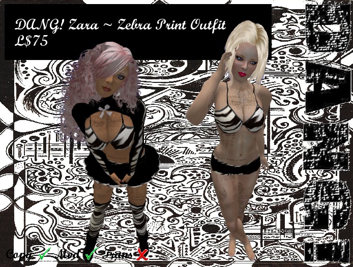 DANG! Zara ~ Zebra Print Outfit