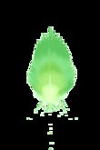Mw Feather set 2 alpha pack 100lstextures