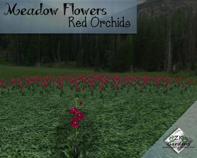 *ZK* Meadow Flowers - Red Orchids