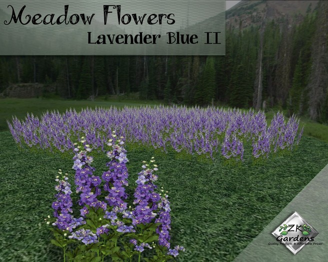 *ZK* Meadow Flowers - Lavender Blue II