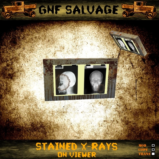 Old X-Rays - Urban Grunge