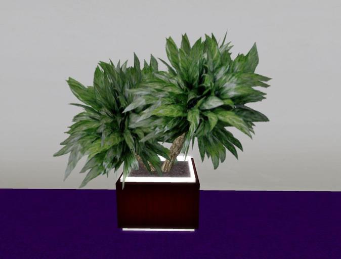 Planter with bush plants Redwood