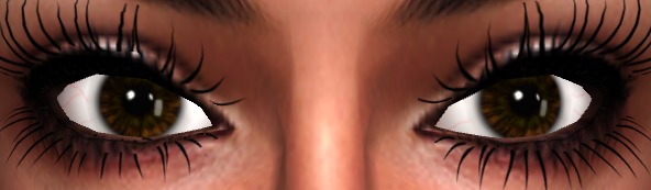 Realistic_Eyes_By _Clony_Dover/Brown1