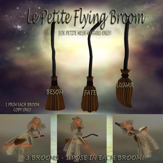 Le Petite Riding Broom - GOLD  for PETITE AVATARS