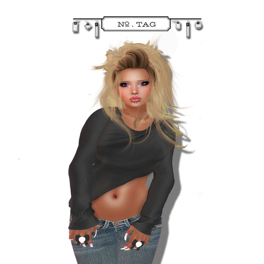 No.Tag - Gray/Black Top {mesh}
