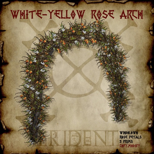 White-Yellow Rose Arch  