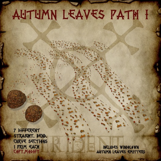 Autumn Leaves Path I 