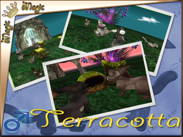 Terracotta 4T K9! M/Shy/Cobalt/5485363  multi traits
