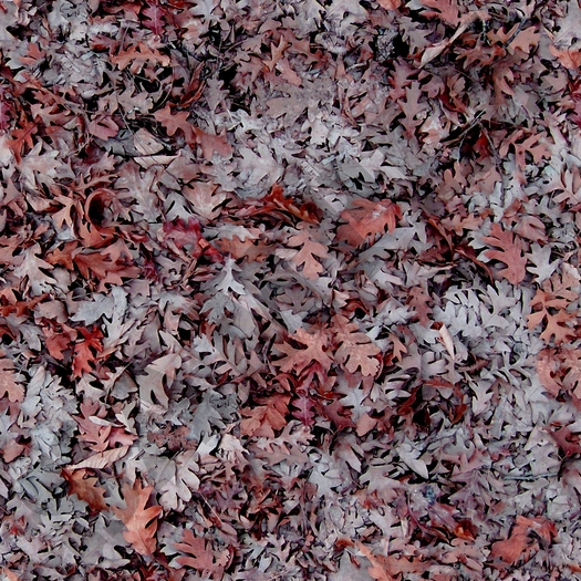 Tiled fall ground 3  FULL PERMS single texture