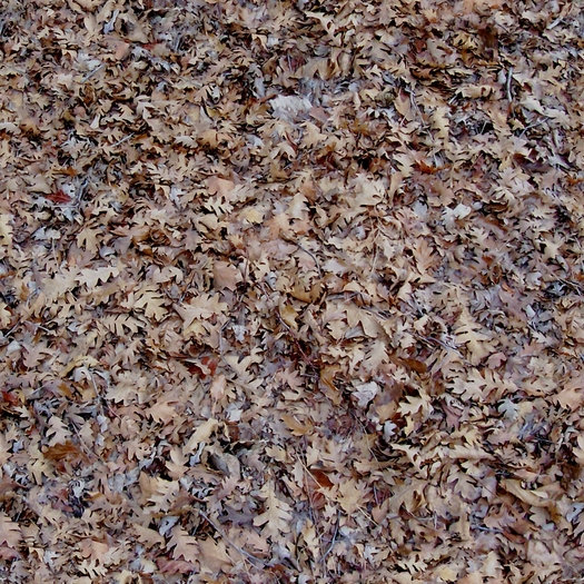 Tiled fall ground 5  FULL PERMS single texture