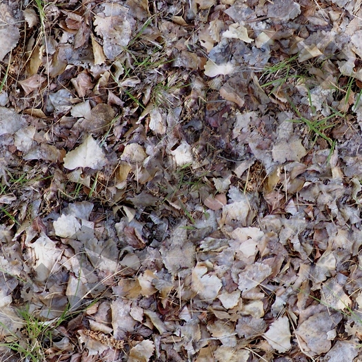 Tiled fall ground 7  FULL PERMS single texture